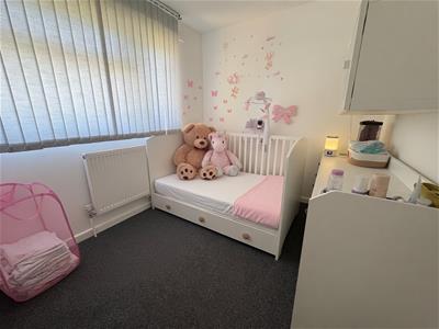 Picture 7